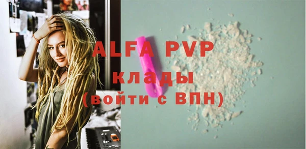 крисы Вязьма