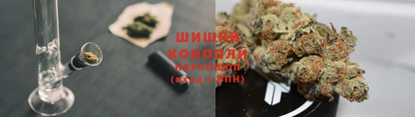 прущий лед Вяземский