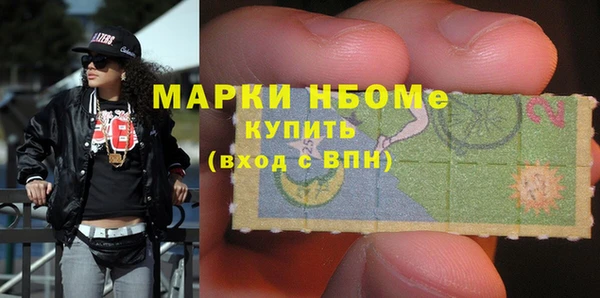 прущий лед Вяземский
