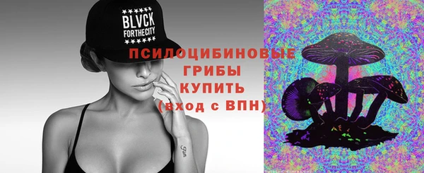 прущий лед Вяземский